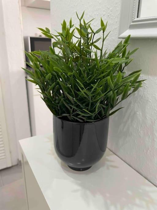 Apartment Frisch Sanierte 2 Raum Suedstadt Hannover