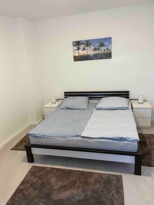 Apartment Frisch Sanierte 2 Raum Suedstadt